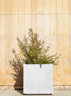 Large urban cubic planter