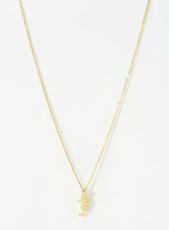 Little seahorse chain
