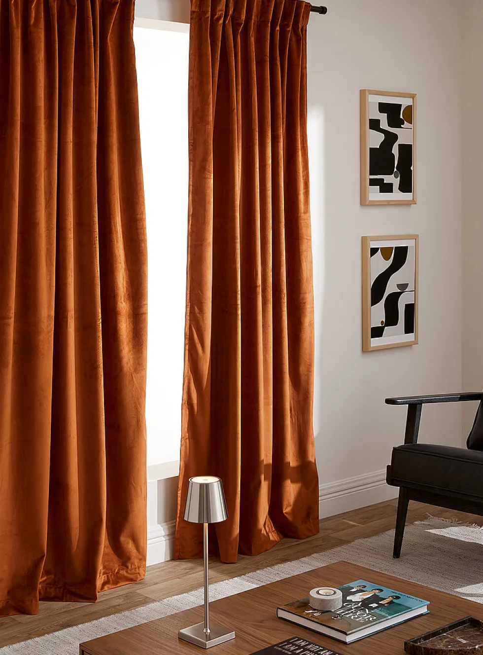 Luxurious velvet curtain