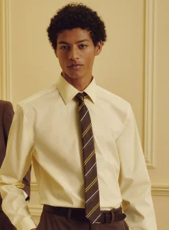 Mixed-stripe slim tie