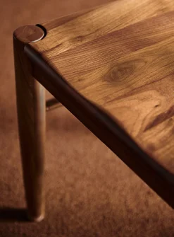 Owing walnut minimalist chairs