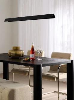 Pamelyn matte black long light fixture