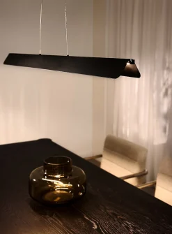 Pamelyn matte black long light fixture