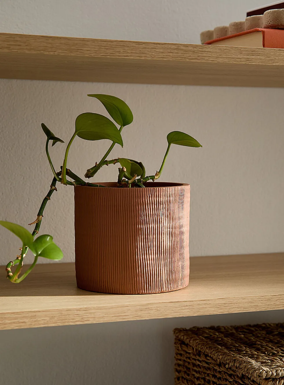 Pinstriped terracotta planter