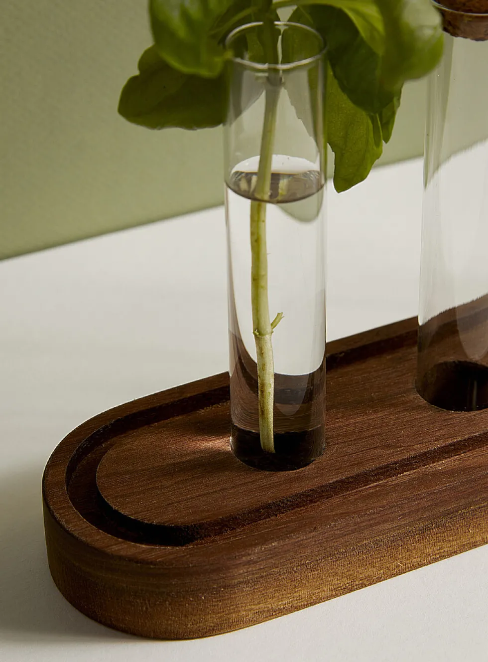 Plant propagation station