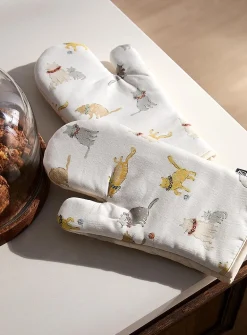Playful kittens accessories
