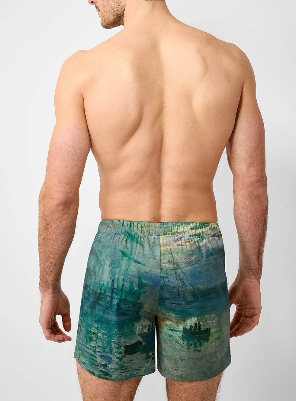 Poetic painting poplin boxer
