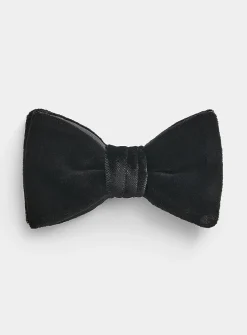 Pontoglio velvet bow tie