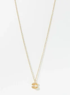 Precious seashell chain