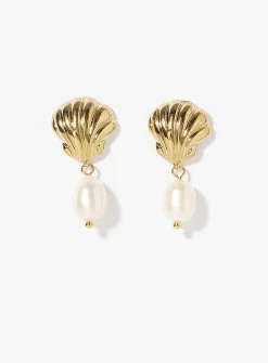Pretty seashell earrings