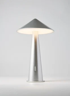 Silver-finish portable LED lamp
