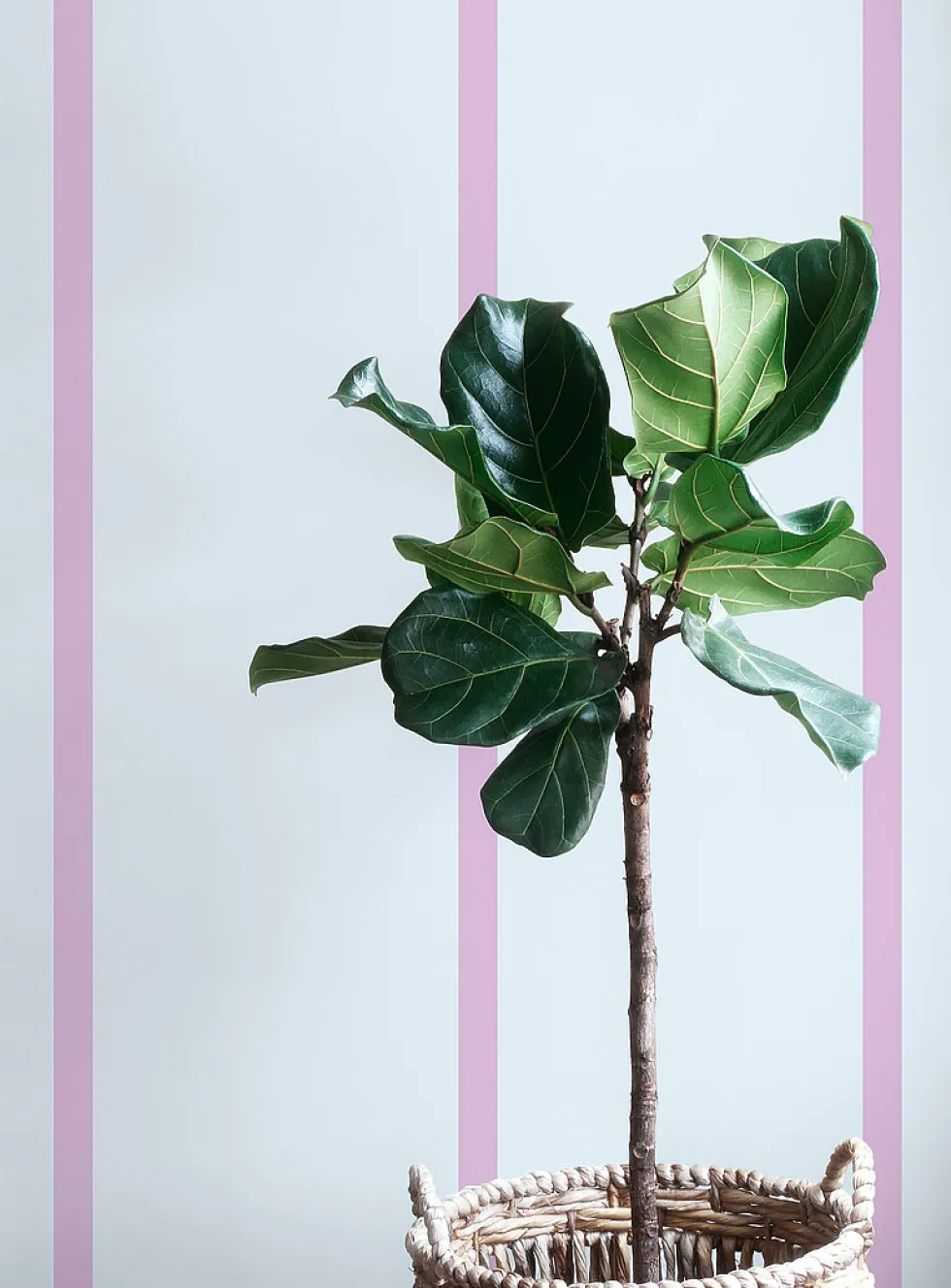 Slim self-adhesive wallpaper strip